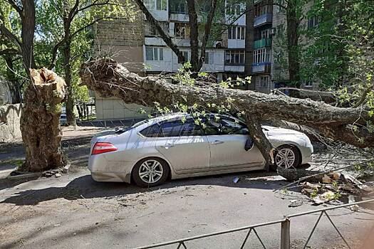 Как гарантированно получить компенсацию, если на ваш автомобиль упало дерево или билборд